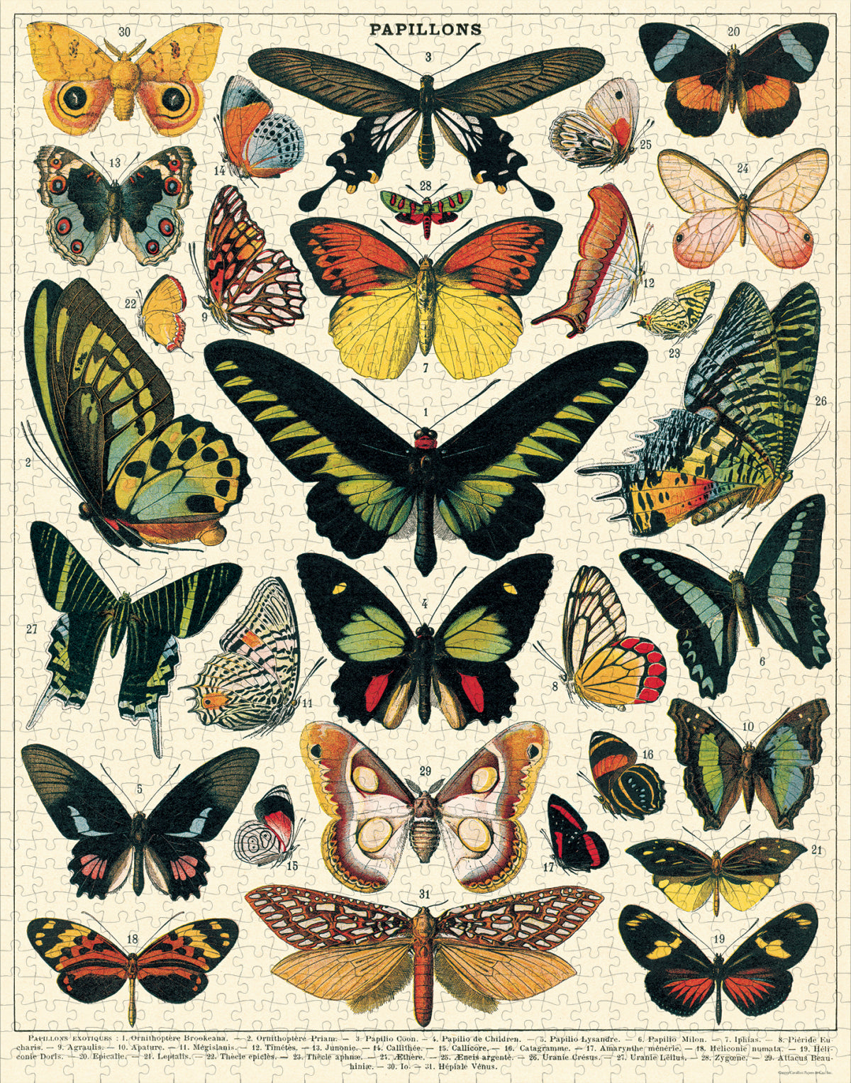 Vintage Puzzle Butterflies 1000pc