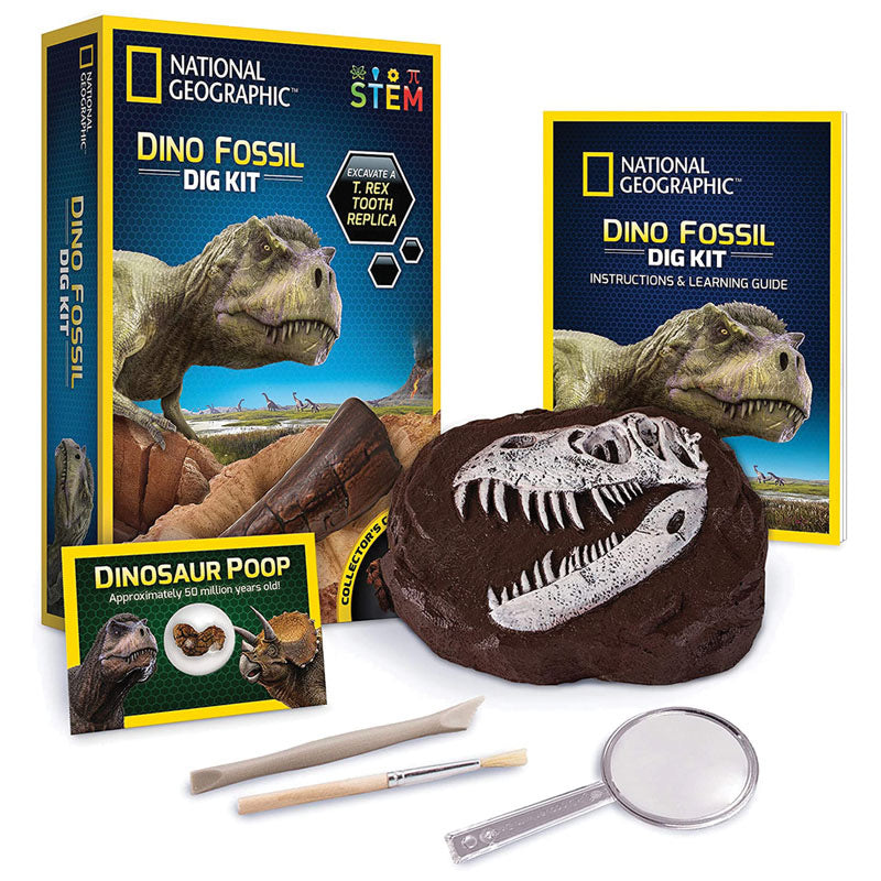 Dinosaur fossil hot sale toys dig