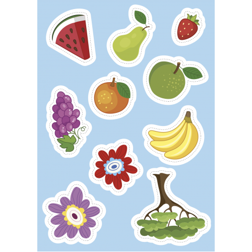 Sassi Sticker & Activity Book - Nature