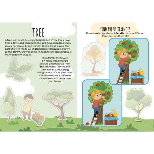 Sassi Sticker & Activity Book - Nature