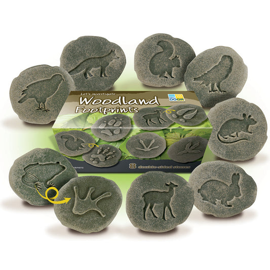 Let’s Investigate Tactile Stones - Woodland Footprints