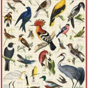 Vintage Puzzle British Birds 1000pc