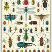 Vintage Puzzle Bugs & Insects 1000pc