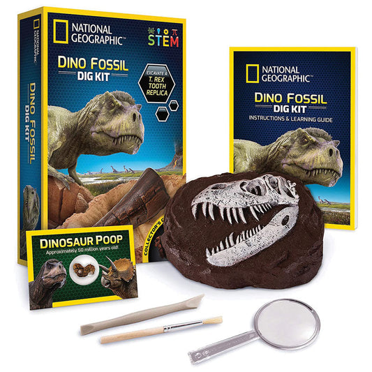 Dino Fossil Dig Kit (new)