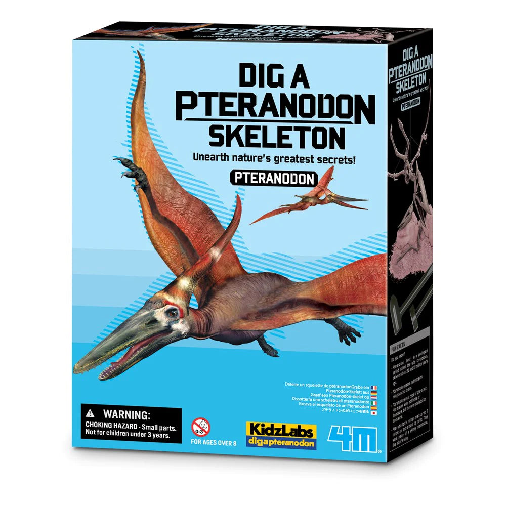 Dig a Pteranodon Skeleton