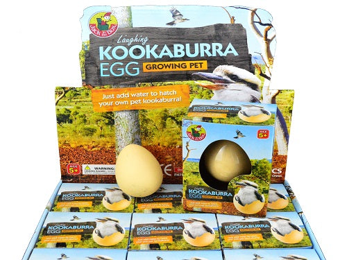 Growing Pet Kookaburra Egg