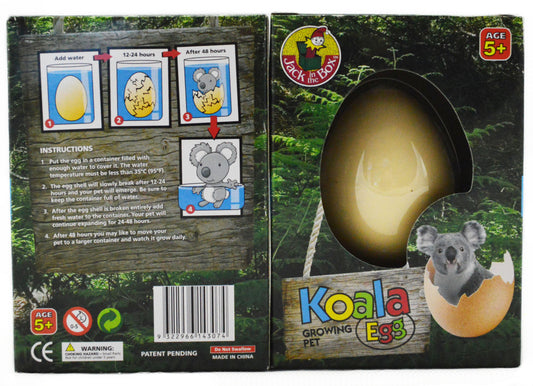 Growing Pet Koala Egg