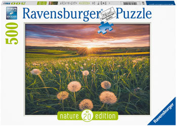 Ravensburger - Dandelions at Sunset 500pc