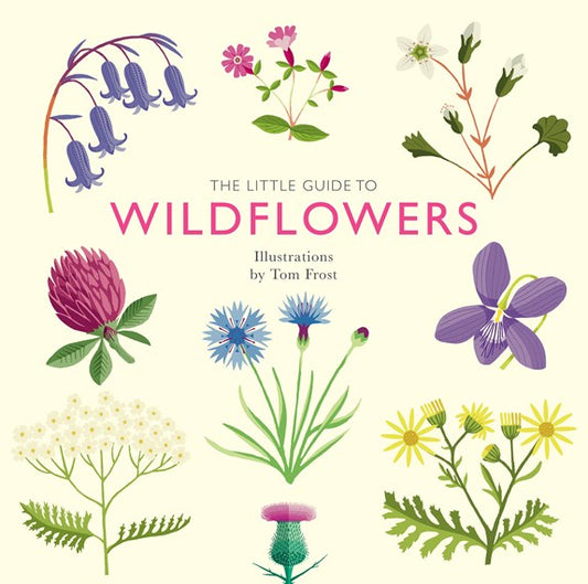 Little Guide To Wildflowers