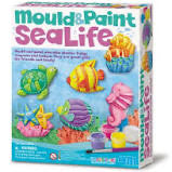 Mould and Paint Sealife