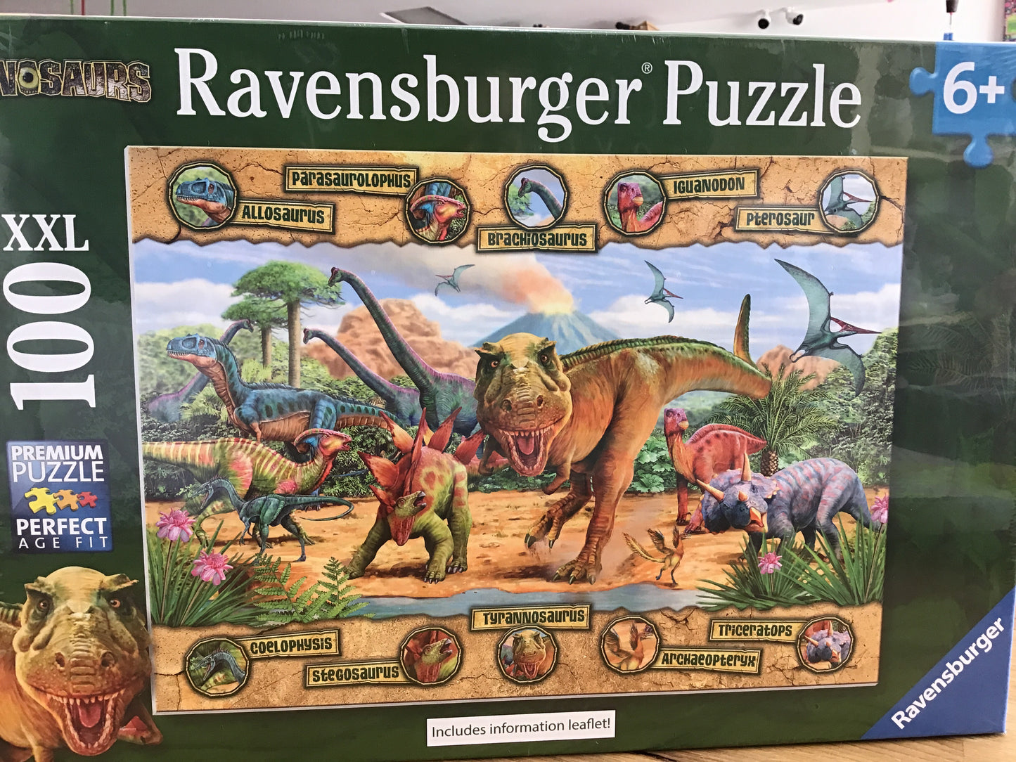 Dinosaurs 100pc