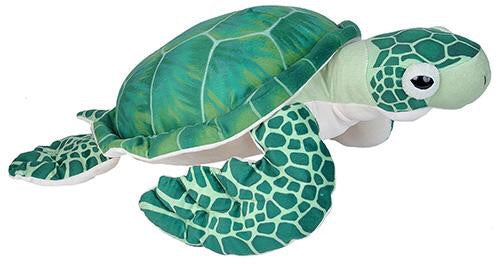 Green Sea Turtle