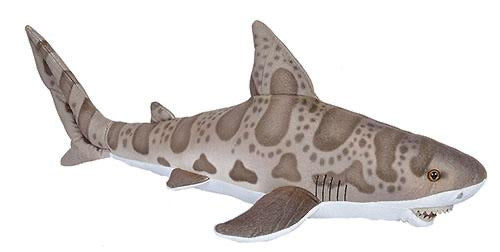 Living Ocean Leopard Shark