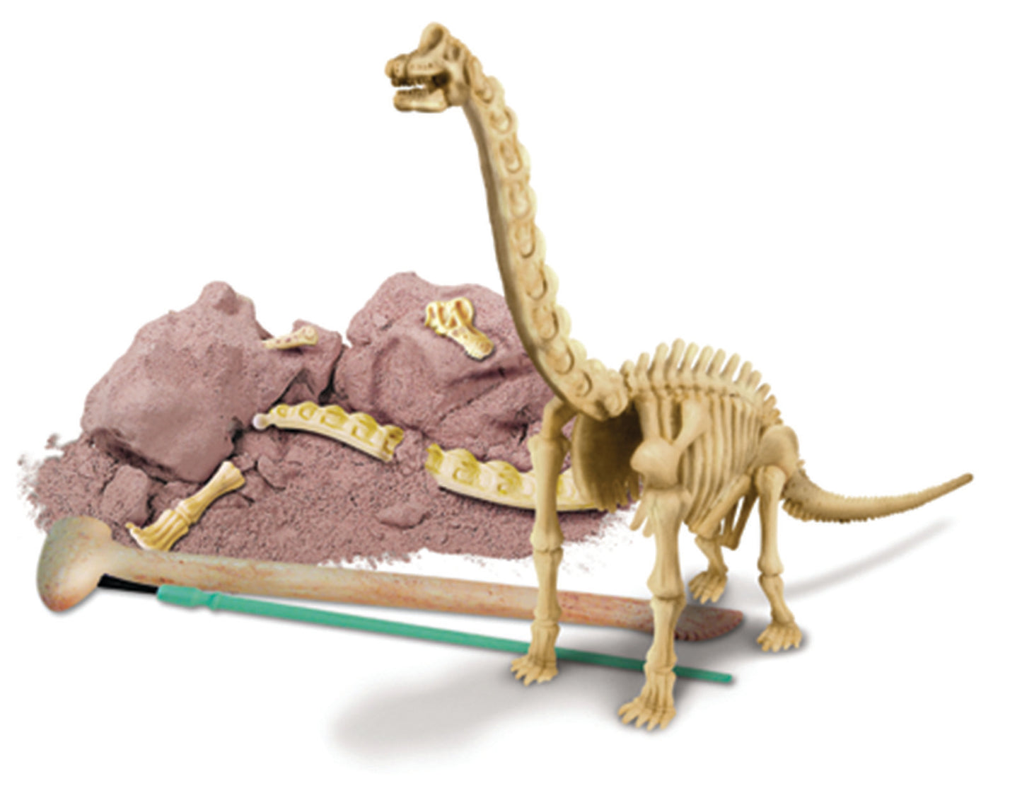 Dig a Dinosaur Skeleton Brachiosaurus
