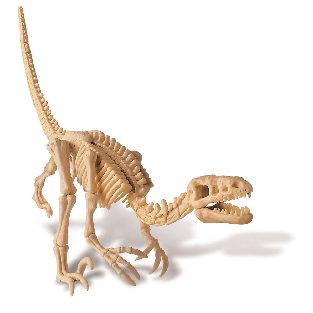 Dig a Dinosaur Skeleton Velociraptor