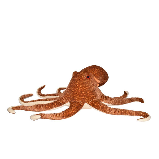 Jumbo Octopus