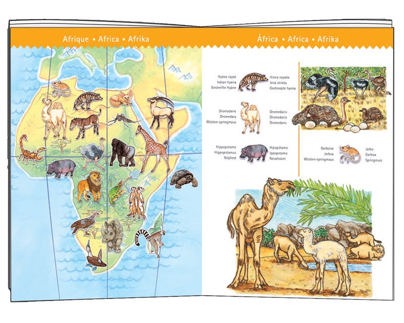 Animals Observation Puzzle 100pc