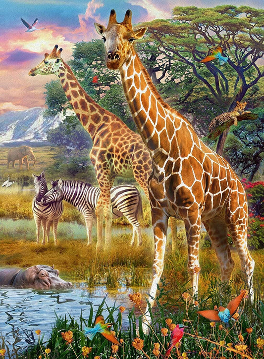 Giraffes in Africa 150pc