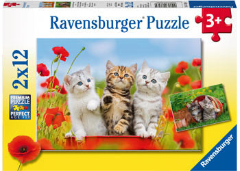 Kitten Adventures 2x12 pc